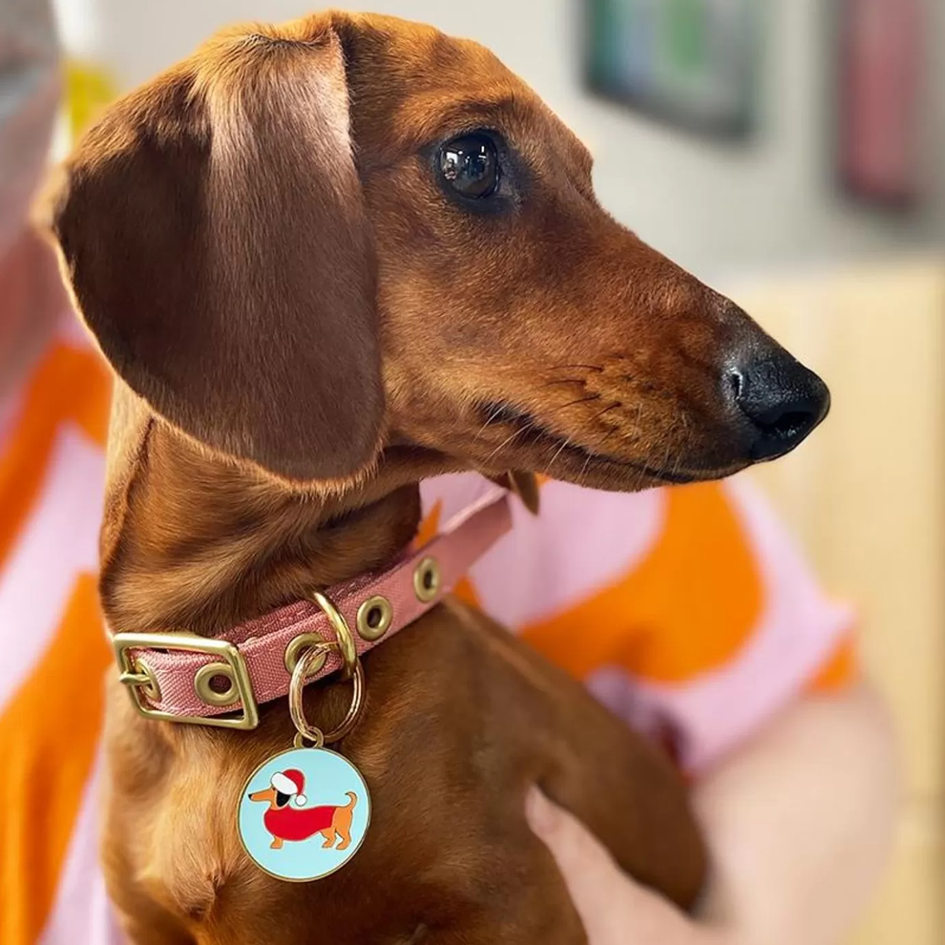 Erstwilder Christmas Spiffy Enamel Pet Charm* Enamel Key Rings