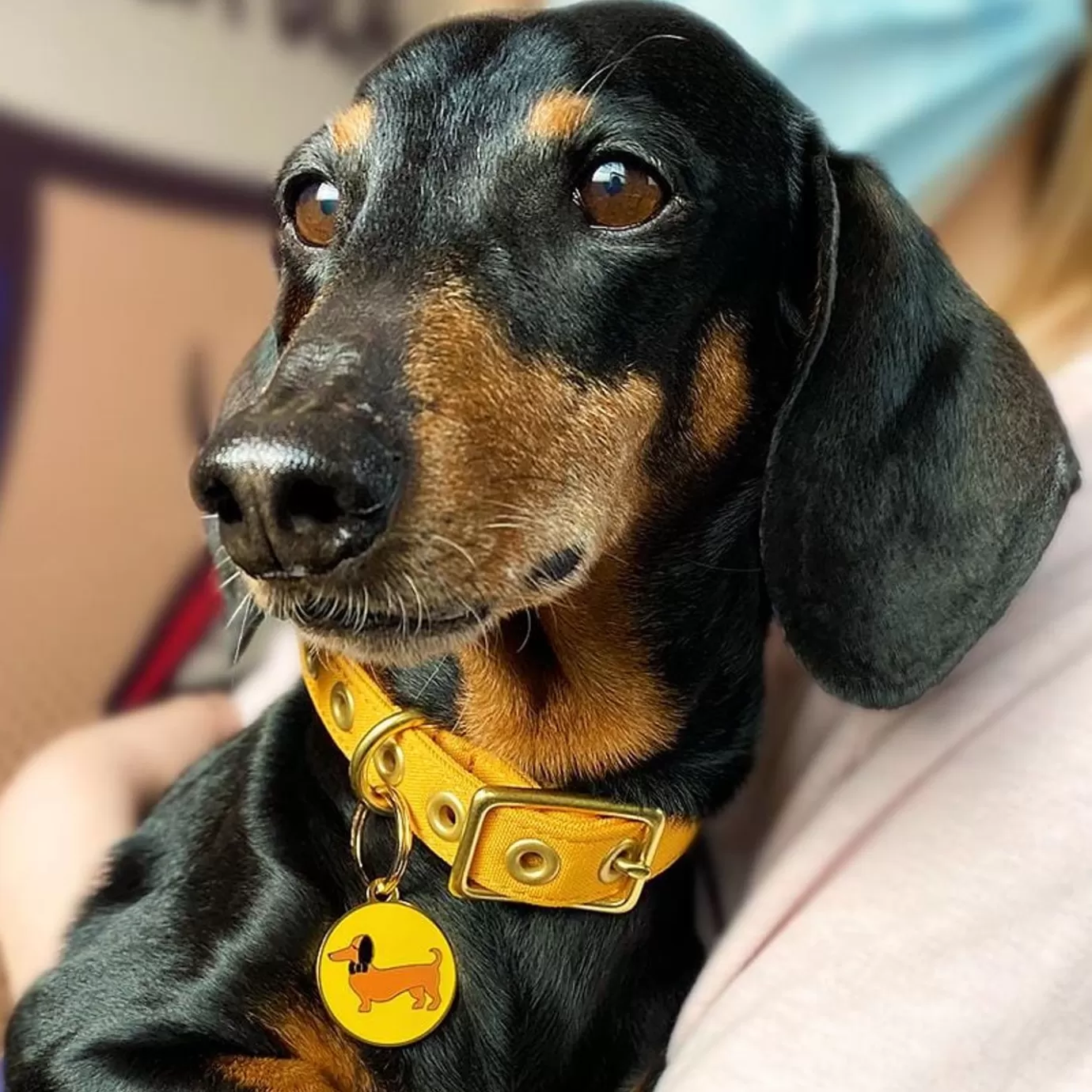 Erstwilder Spiffy The Sausage Dog Enamel Pet Charm* Enamel Key Rings