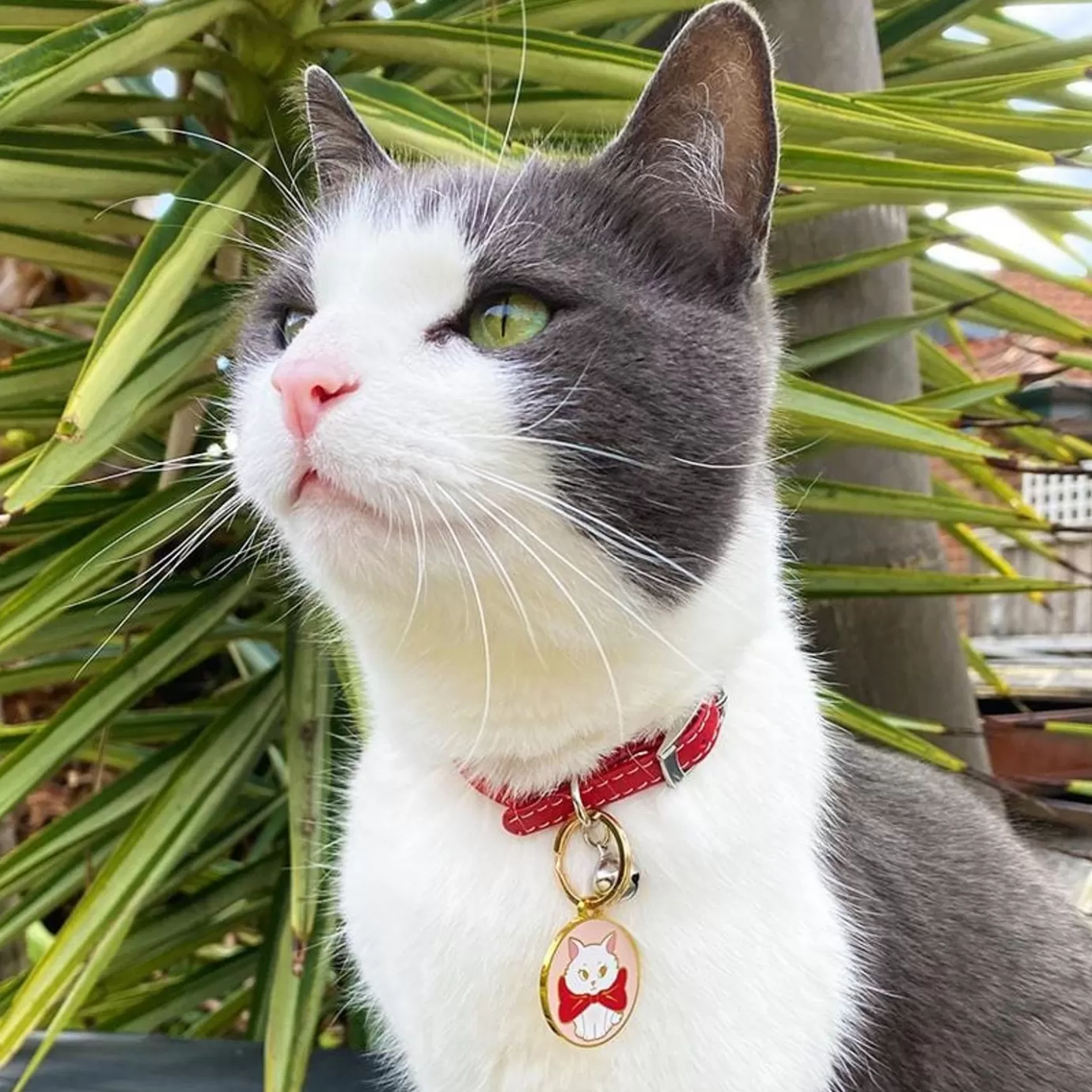 Erstwilder Wrapped Up In Love Enamel Pet Charm* Enamel Key Rings